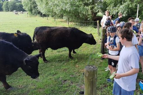 6c auf Hof Overmeyer