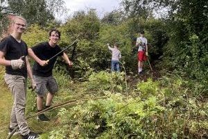 Kahlschlag Schulgarten: Kahlschlag