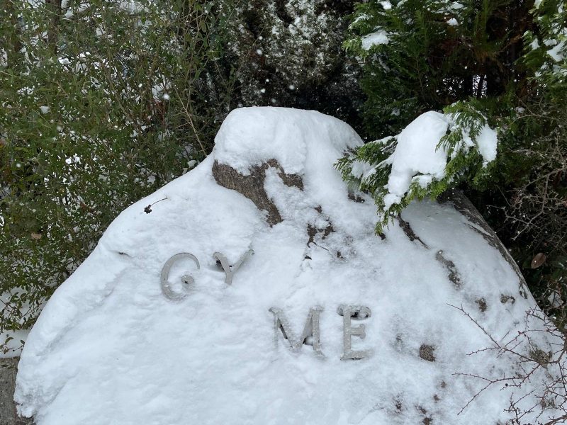 5921ded8-b325-42e5-9f8d-a2744409da22